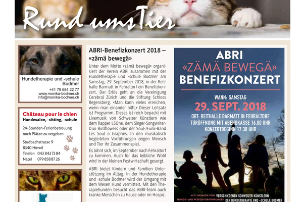 Benefizkonzert "Zäme bewegä" im Region 2018