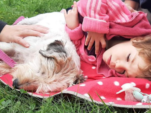 "Lichtblicke mit den ABRI Therapiehunden" Gewerbezeitung Oberrieden 2023