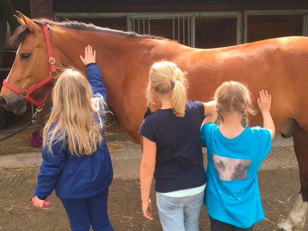 "Promo-Tour für Kinder und Jugendliche in schwierigen Lebenslagen" Regio 2019