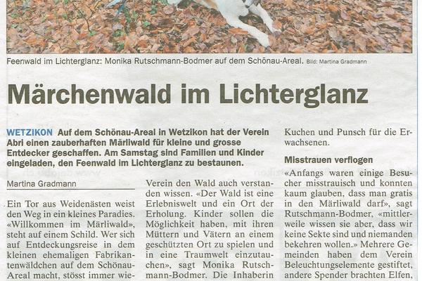 "Märchenwald im Lichterglanz" im Regio 2015