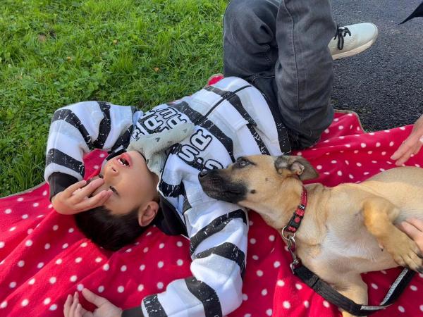 2024: Die Stiftung Kifa berichtet über den Besuch der Therapiehunde