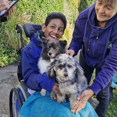 Galerie Bild {{number}}