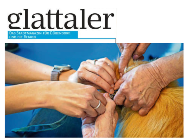 "Die Liebe zu Hunden geht nicht vergessen", Glatttaler 2026