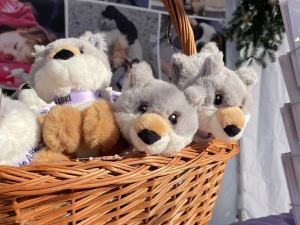 ABRI Wölfe an der SM 2024 in Bischofszell