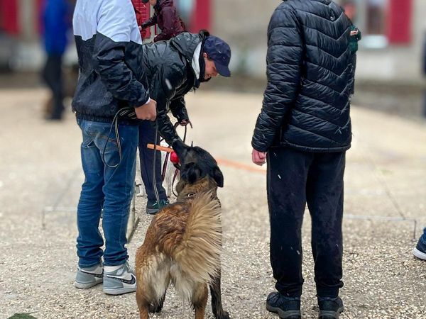 Zu Besuch bei der Stiftung Schloss Regensberg 2024