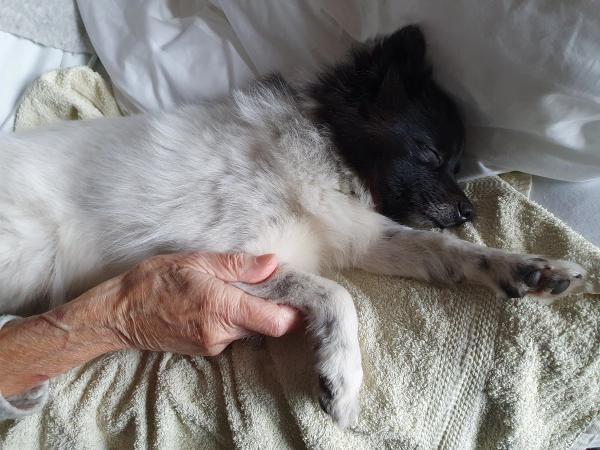 Zu Besuch im Lighthouse 2020