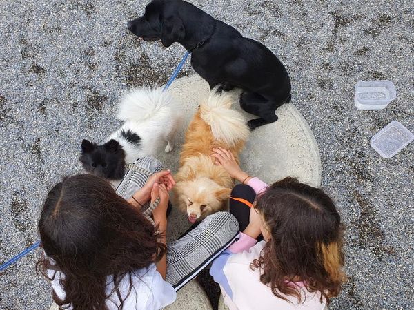 Hundebesuch in der Wohngruppe Dialogweg 2021
