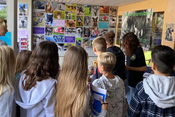 Verein ABRI an der Berufsmesse im Glarnerland 2023