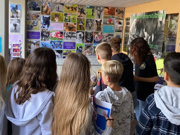 Verein ABRI an der Berufsmesse im Glarnerland 2023