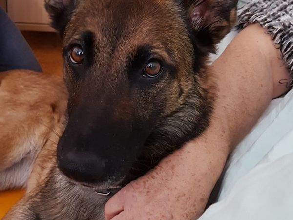 Begegnungen im Lighthouse 2019