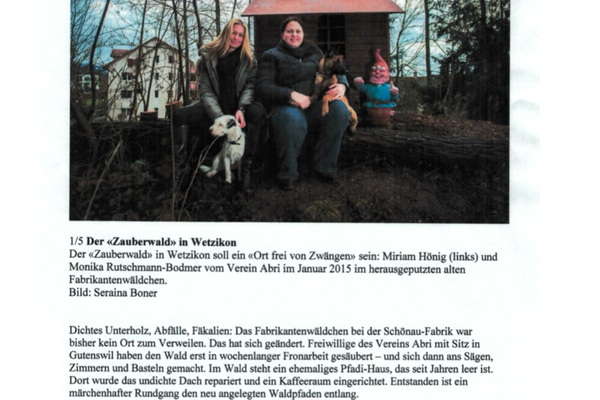 "Vandalen im Märchenland bei der Schönau-Fabrik" Zürcher Oberländer 2015