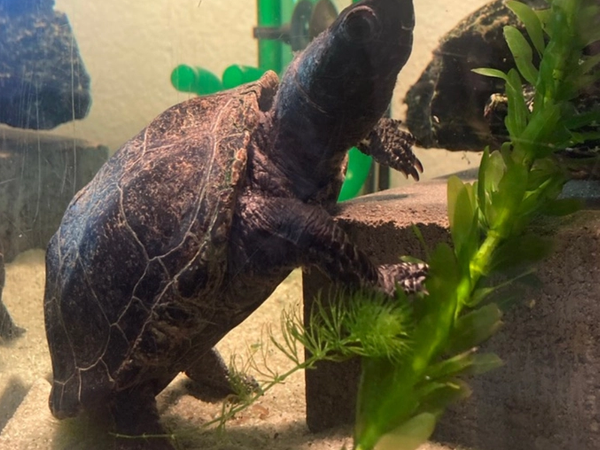 Zu Besuch beim Urgestein Fred 2024