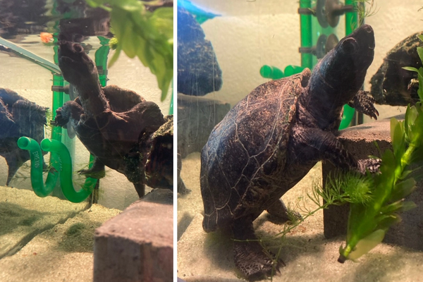 Zu Besuch beim Urgestein Fred 2024