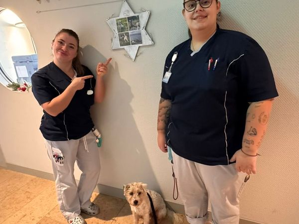 Weihnachtsgeschenke für die Pflegenden 2025