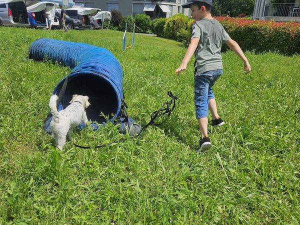 "Hundebesuch im Kinderheim" Wädenswiler 2024