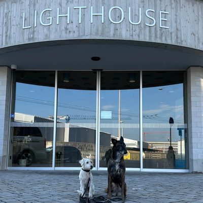 Galerie Bild {{number}}