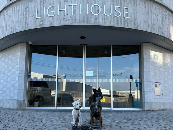 Zu Besuch im Zürcher Lighthouse 2025