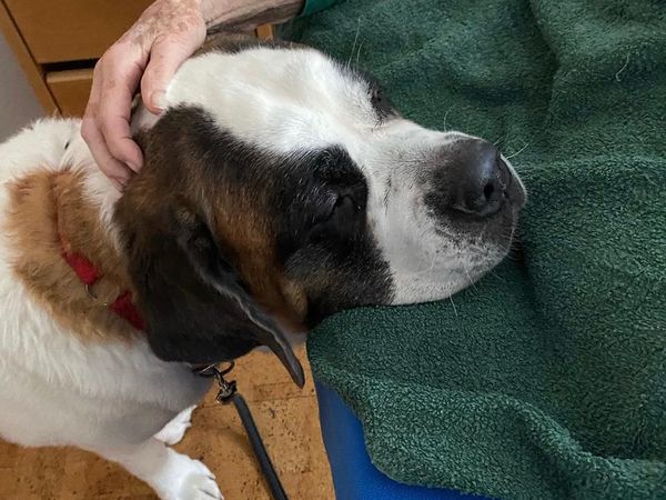 Begegnungen im Zürcher Lighthouse 2021