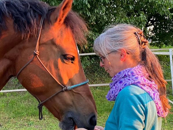 Pferdetherapie mit Harry 2021