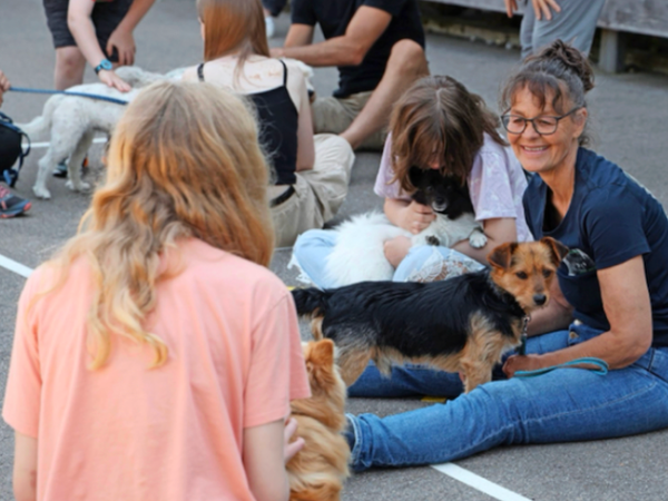 "Diese Hunde sorgen für strahlende Augen auf der Kinderstation" Zürichsee-Zeitung 2023