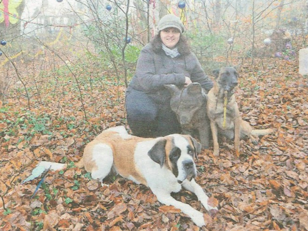 "Märchenwald im Lichterglanz" Regio 2015