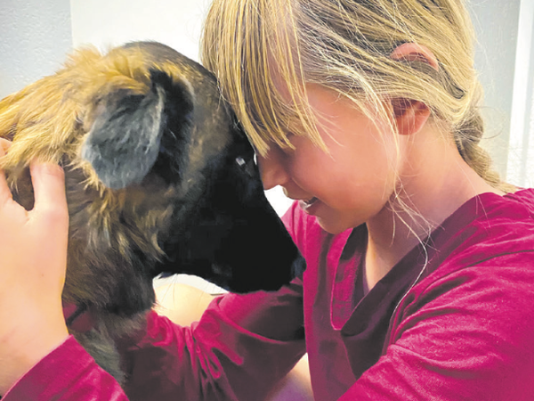 "Therapiehunde schenken Lichtblicke" Regio 2023