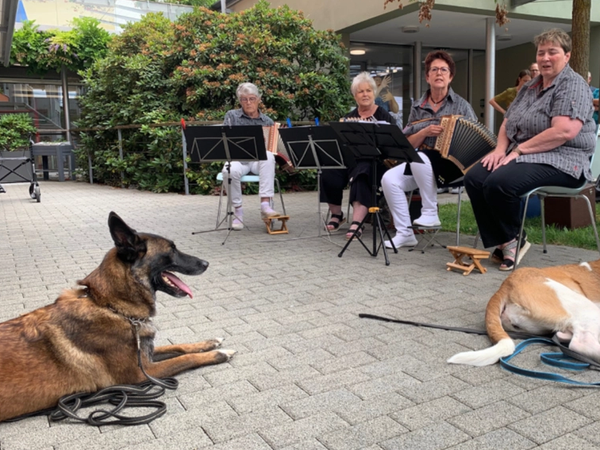 Hundebesuch Heim Sonnweid 2023