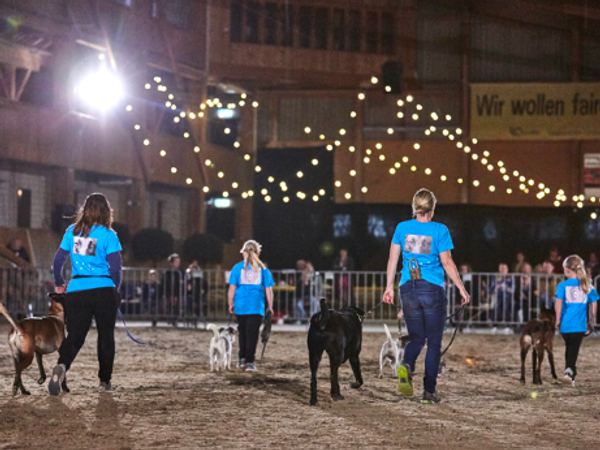 Benefizkonzert "zäme bewege" 2018