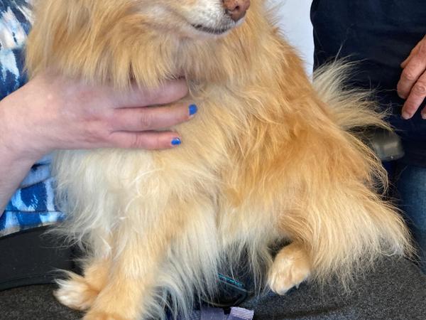 Zu Besuch im Pflegeheim Sonnhalde Grünigen 2024