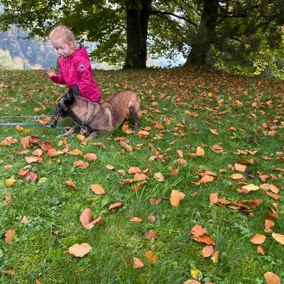 Galerie Bild {{number}}