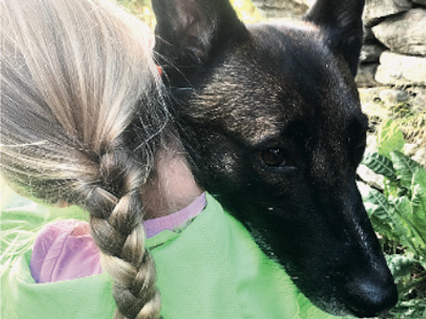 "Tierische Unterstützung mit dem Verein ABRI" Fischotter 2023