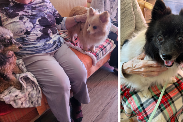 Besuch Almacasa Weisslingen | Mai 2025