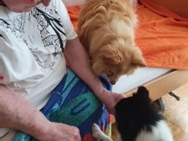 Berührende Begegnungen im Lighthouse 2022