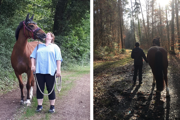 Harry unser Therapiepferd