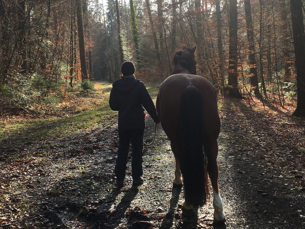 Mit dem Therapiepferd Harry unterwegs 2020