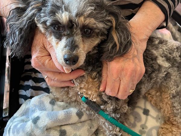 Besuch Almacasa Weisslingen 2025