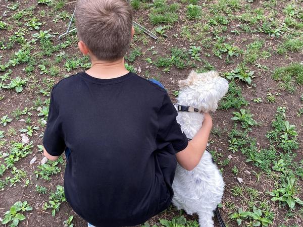 "Hunde schenken Lichtblicke" Zürcher Unterländer 2023