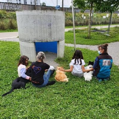 Galerie Bild {{number}}