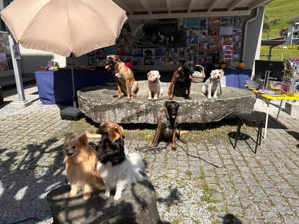 Gewerbemesse Uznach 2023