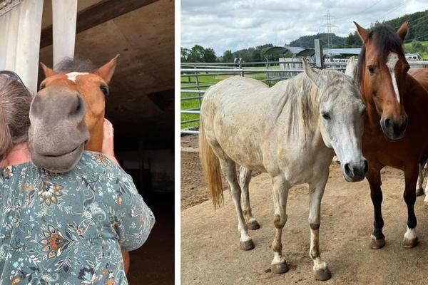 Immer wieder schön bei dir Harry 2024