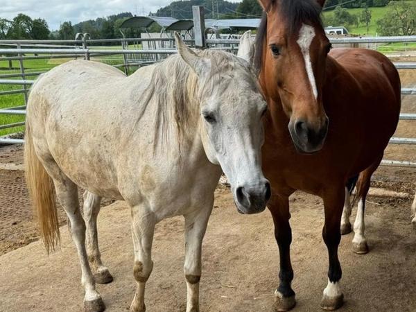 Immer wieder schön bei dir Harry 2024