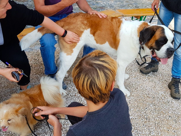 Hundebesuch auf dem Schloss Regensberg 2021