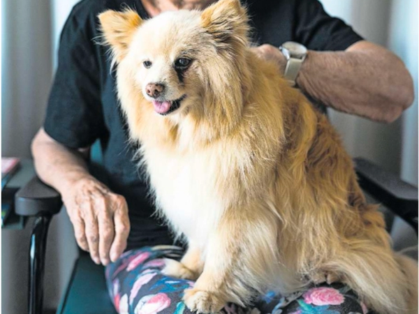 "Hunde schenken Lichtblicke" Limmattaler Zeitung 2023