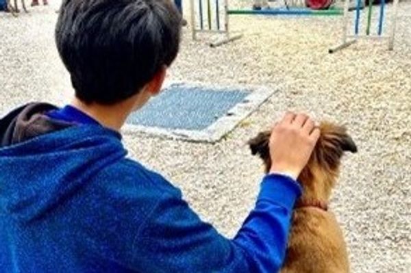 Therapiehunde in der Kinder- und Jugendpsychiatrie Brüschhalde