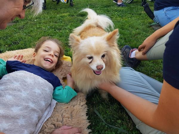 2023: Die Stiftung Kifa berichtet über den Besuch der Therapiehunde