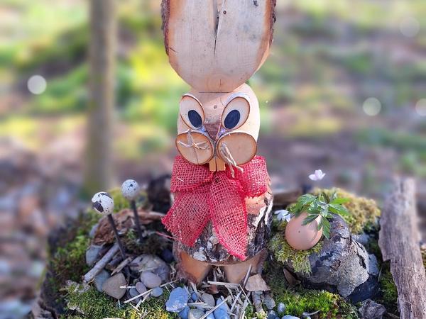 Märliwald Frühling 2023