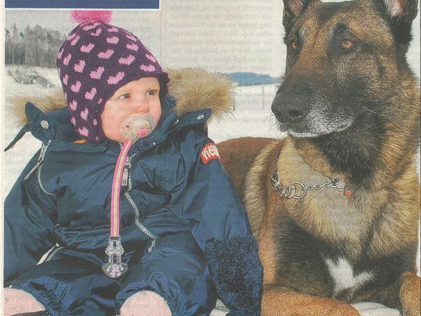 "Waschaktion für einen guten Zweck" TCS Pressemitteilung