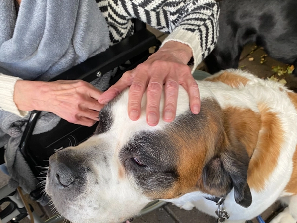 Danke für die Worte - Heim Sonnweid