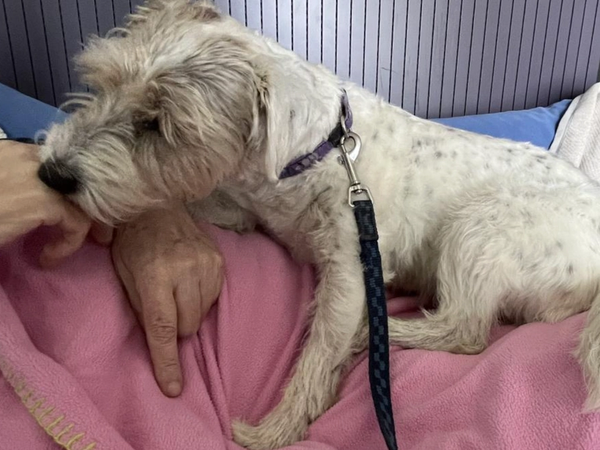 Besuche im Lighthouse 2023