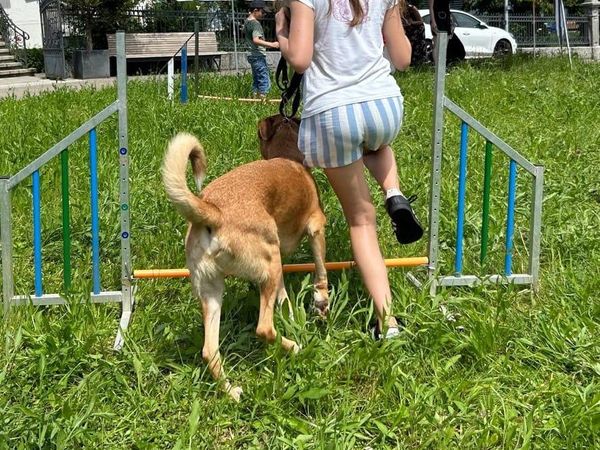 Zu Besuch im Kinderheim Grünau in Wädenswil 2024